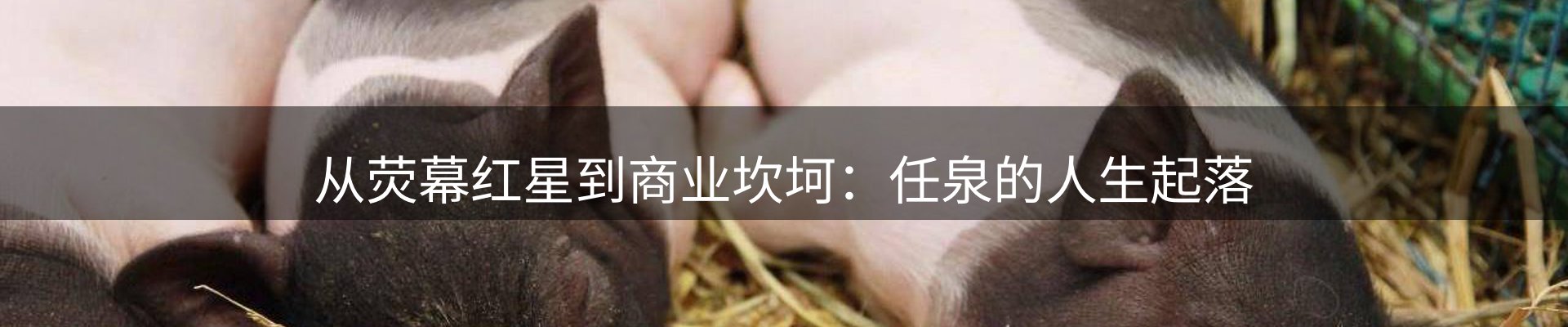 新闻要点