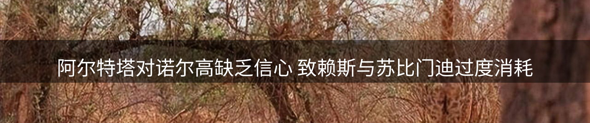 新闻中心